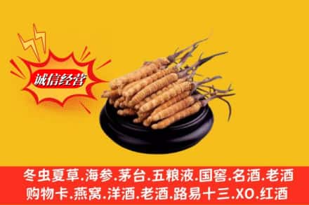嘉兴市平湖名酒回收冬虫夏草.jpg